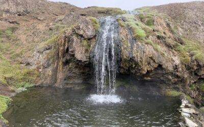 📆 08.08.2025 — Bain brûlant au milieu du froid